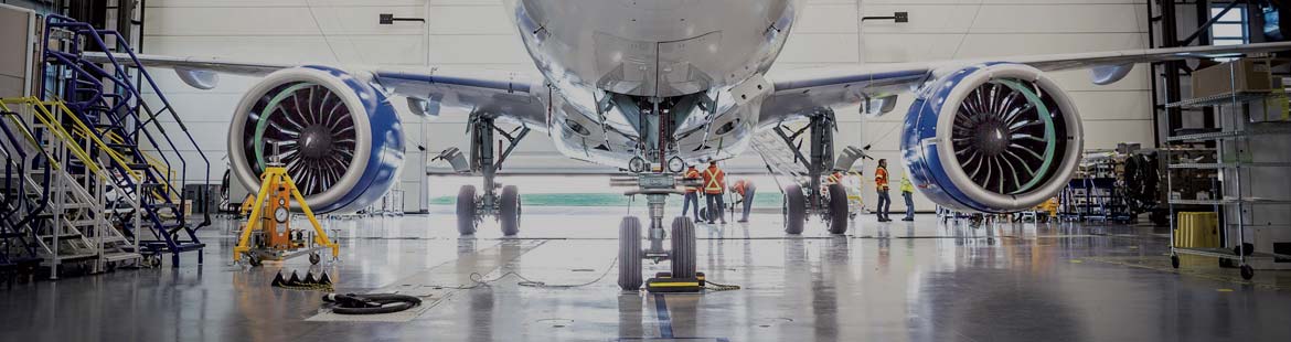 IGO Solutions utilise Jaguards